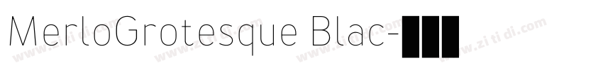 MerloGrotesque Blac字体转换